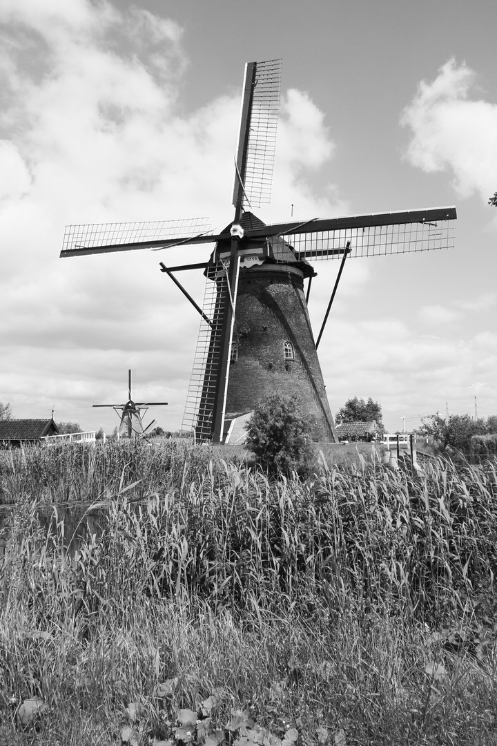 windmill