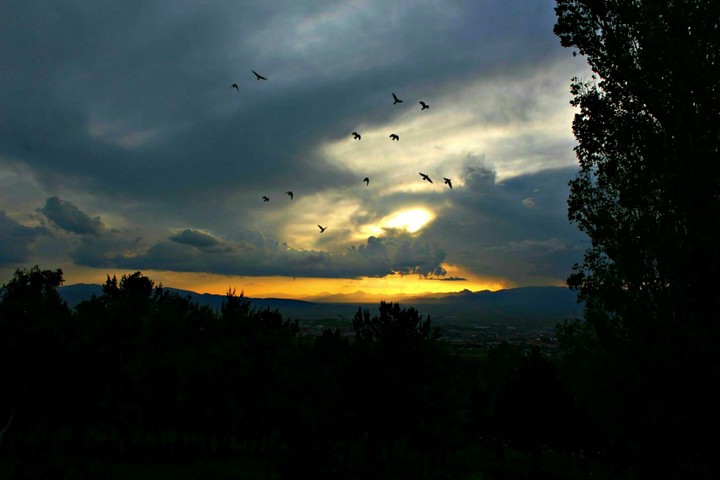 sunset