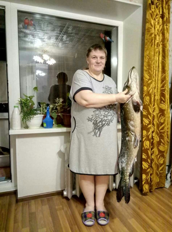 я с щукой