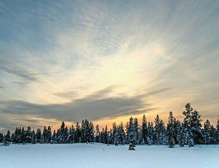 winter_morning
