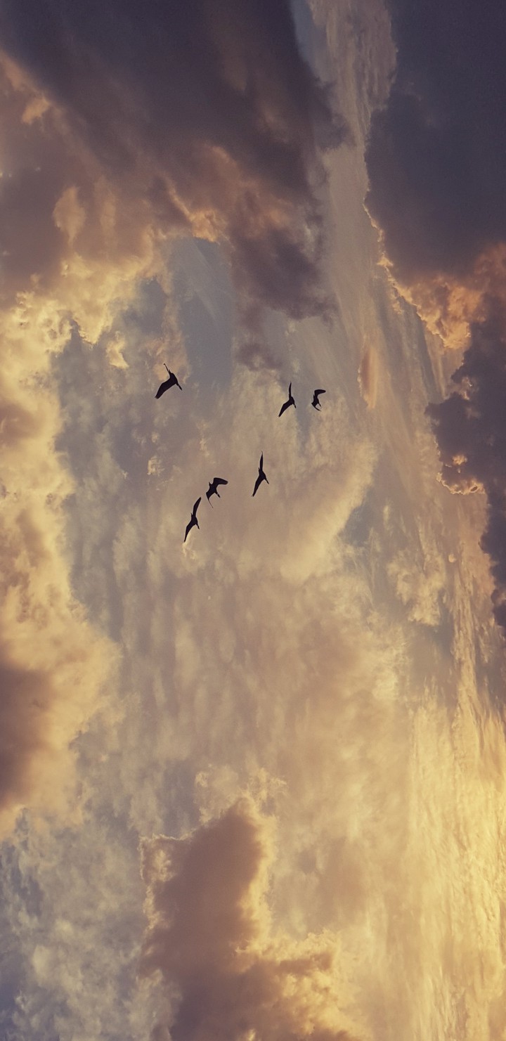 clouds