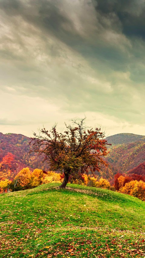autumn, hill achtergronden
