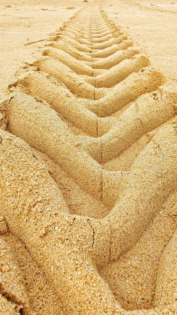 Beach sand with tire thread