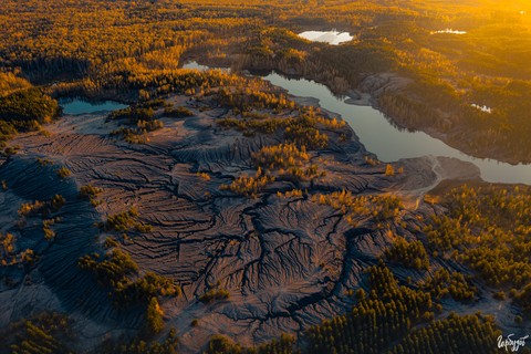 tapety wetland, marsh