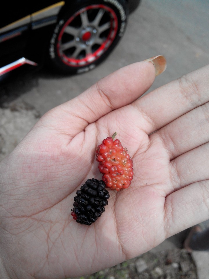 hand