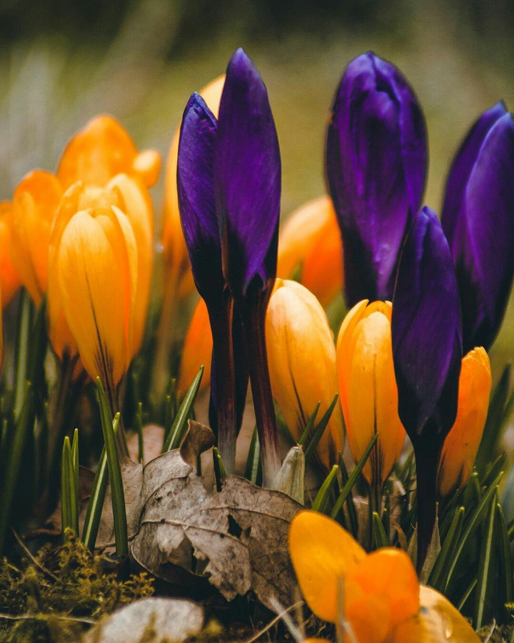 Wallpaper Of The Day
