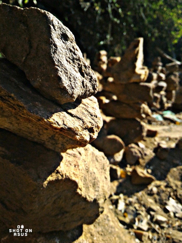 wish by Rock, Mailardurai, Tamilnadu