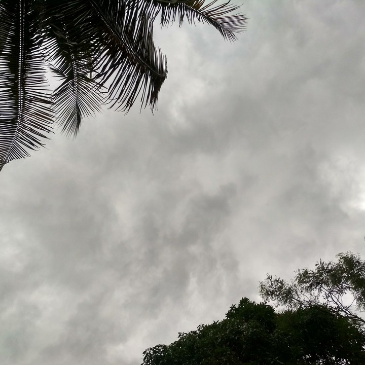 arrival of rain