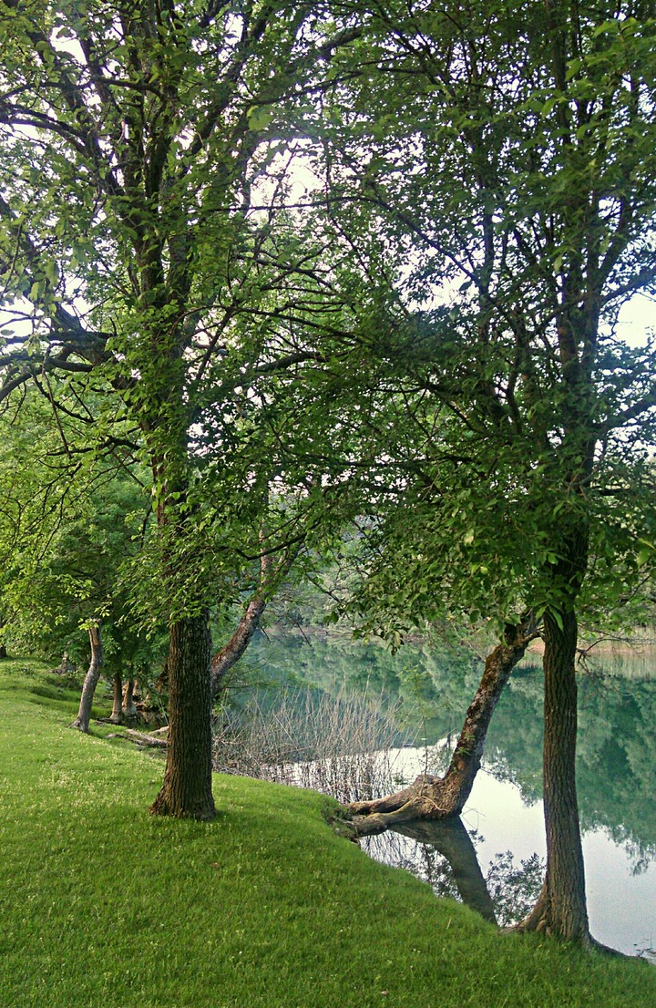 river Krka