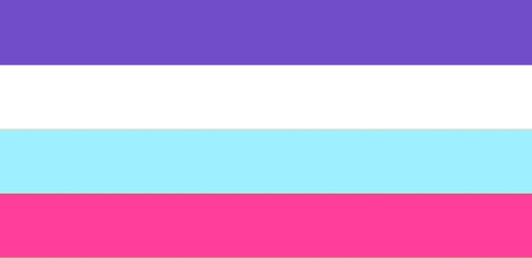 multisexual pride flag
