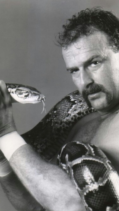 Jake The Snake Roberts