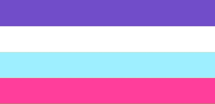 multisexual pride flag