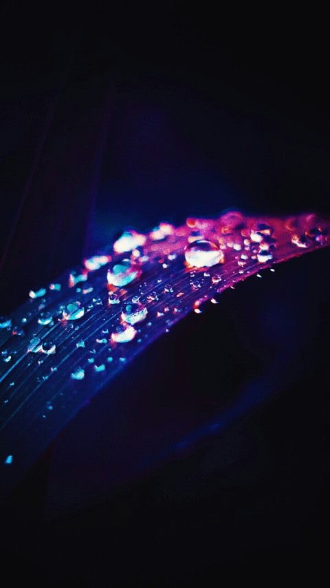 sparkling drops