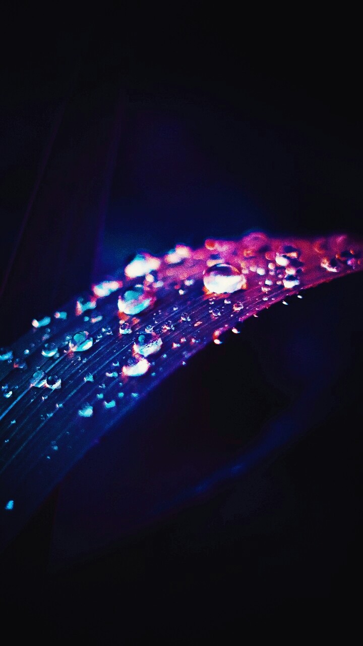 sparkling drops