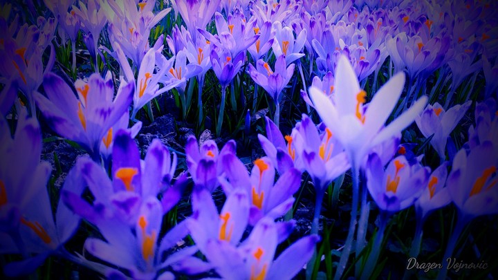 Spring is coming to be..