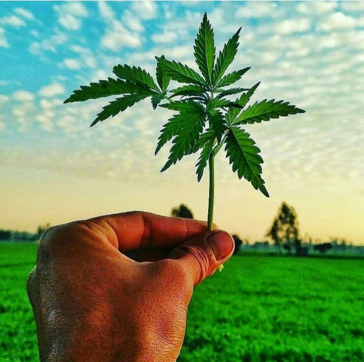 ..
