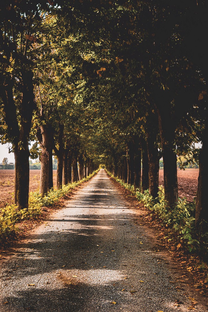 autumn way