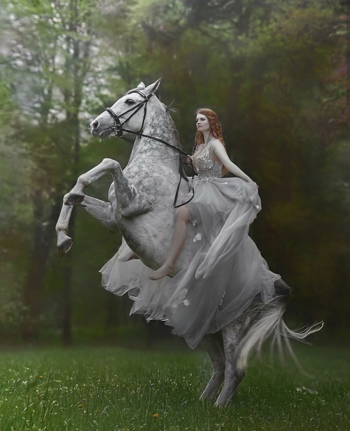 White horse