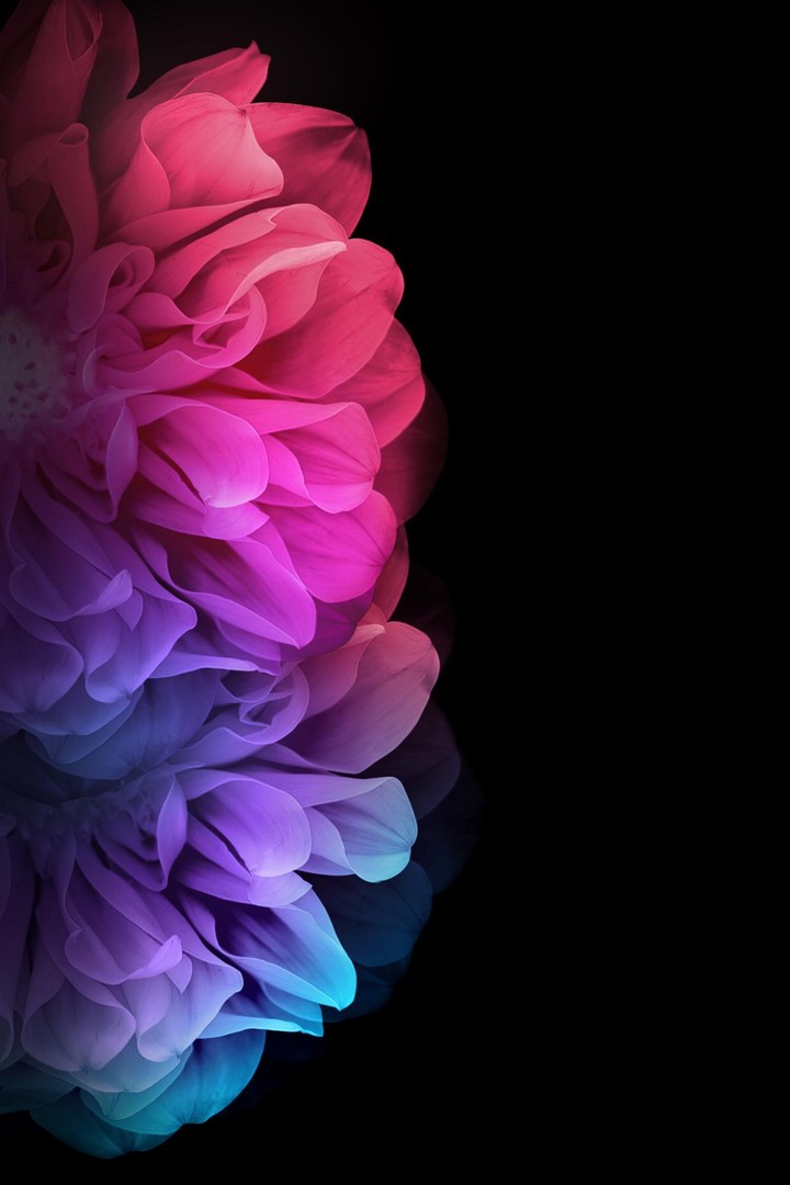 Color 3gp