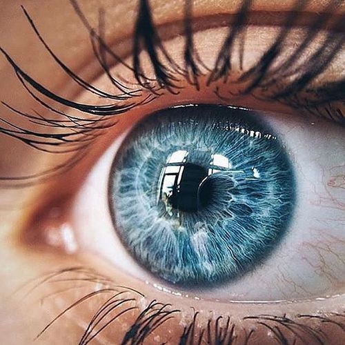 Blue eyes :)