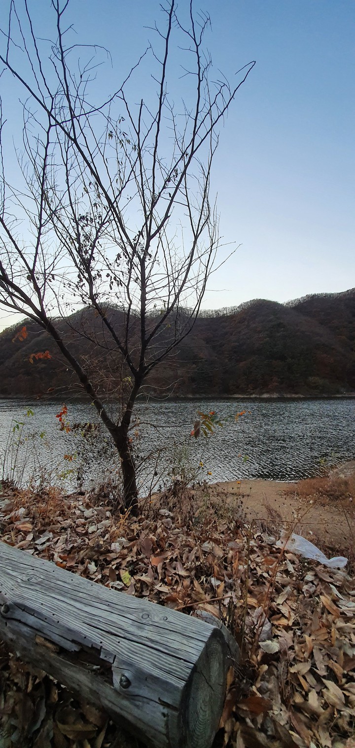 Lake of Winter