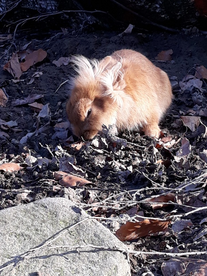Hello Little friend