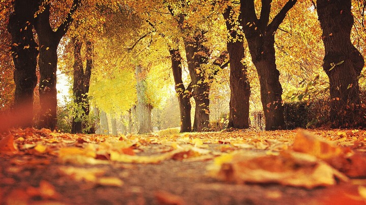 I loveee this image! This is my wallpapper.^^ (bad english)