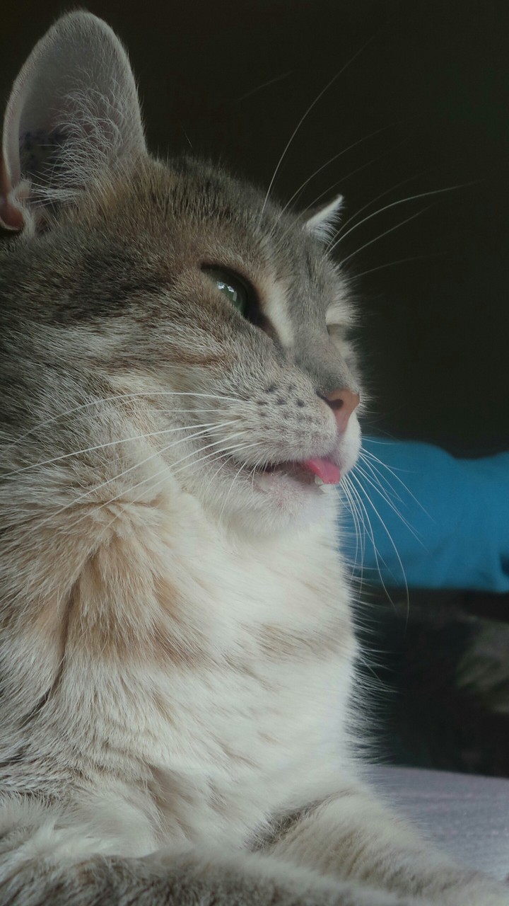 louna