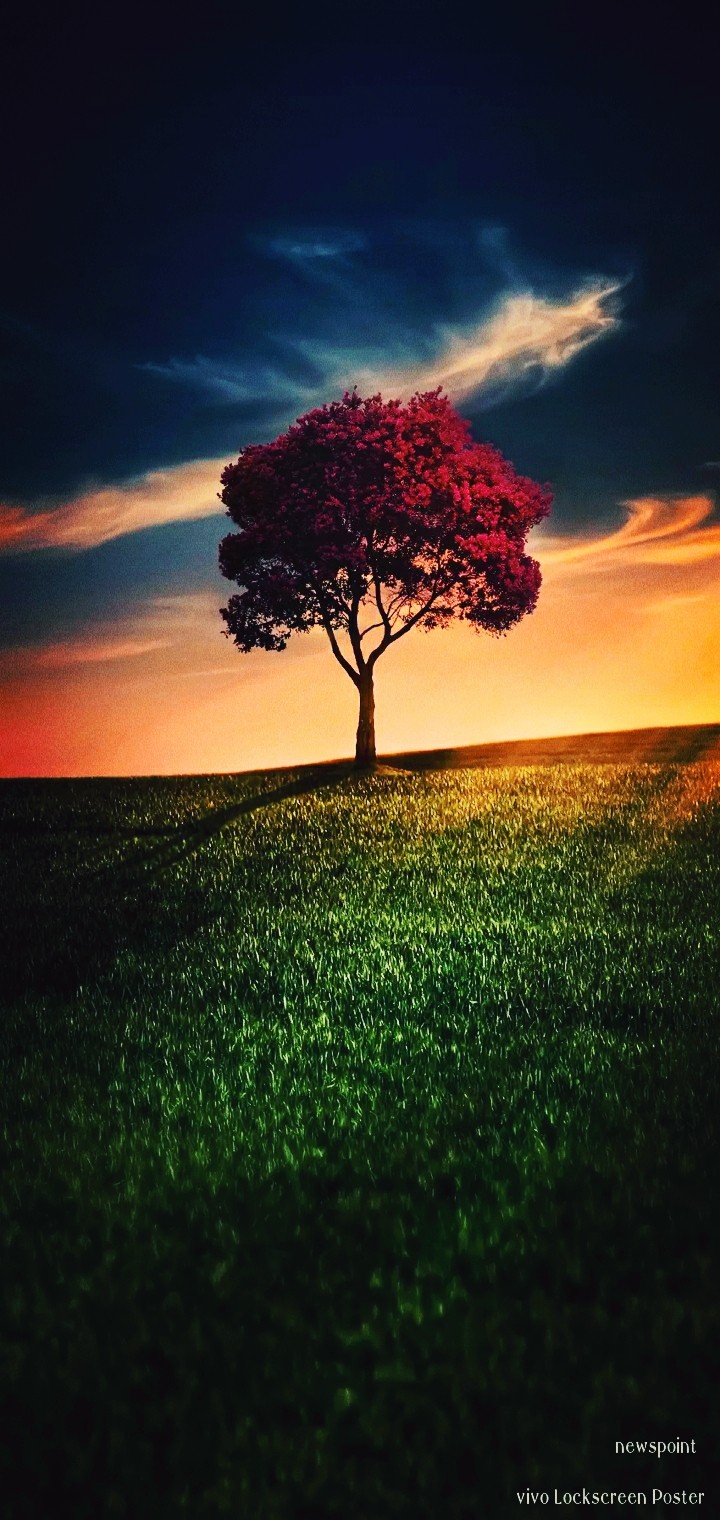 tree