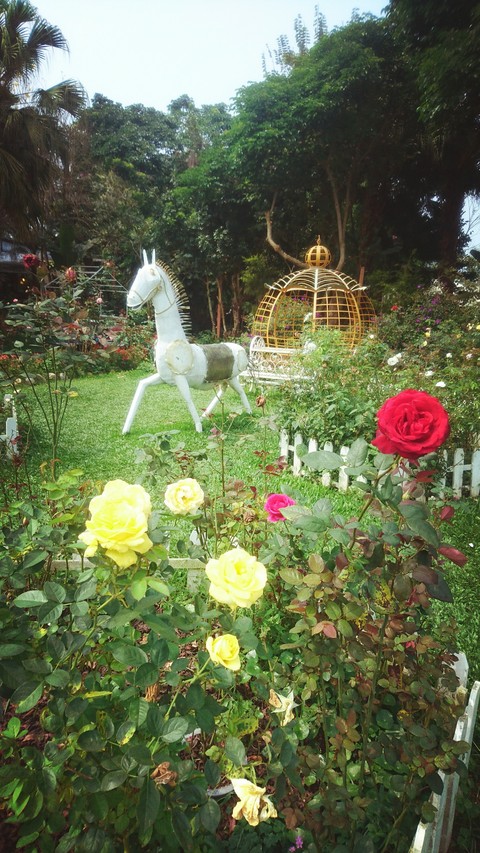 fairy tale - carriage