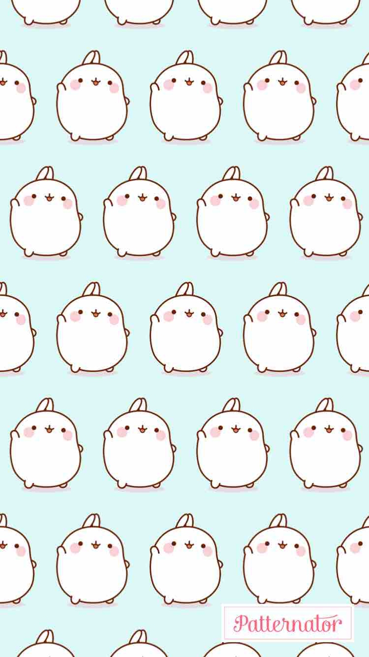 hi 몰랑이