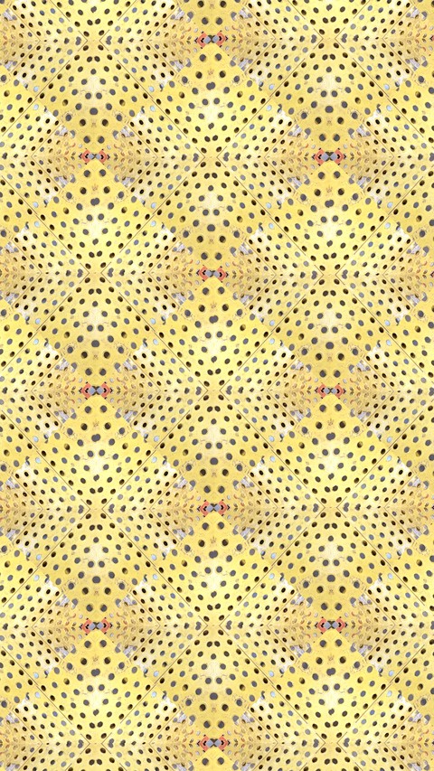 Kaleidoscopes by SexyMugsy
