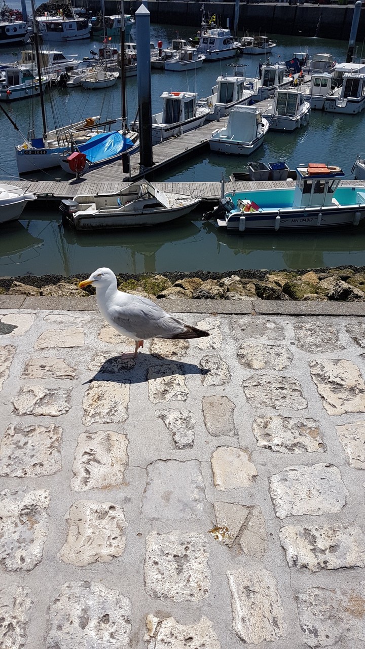 Port d'Oléron