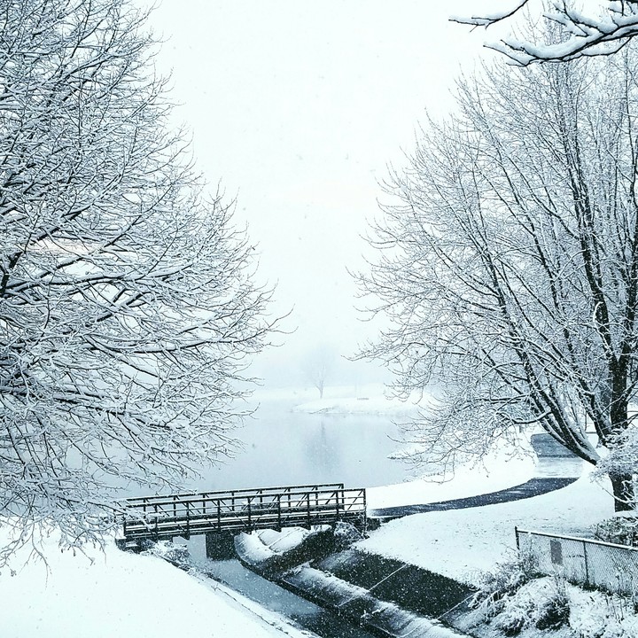 Beauty of Winter