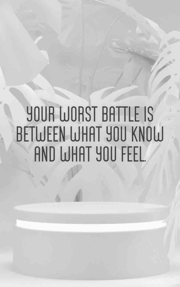 gentle reminder-4