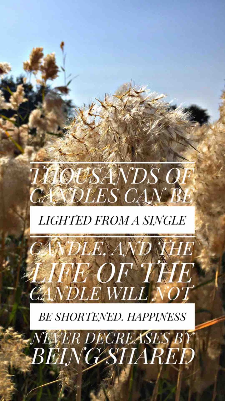 inspiration quote