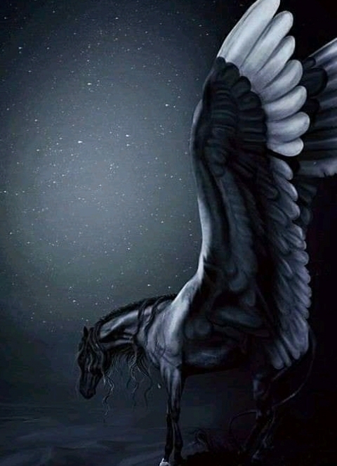 Pegasus