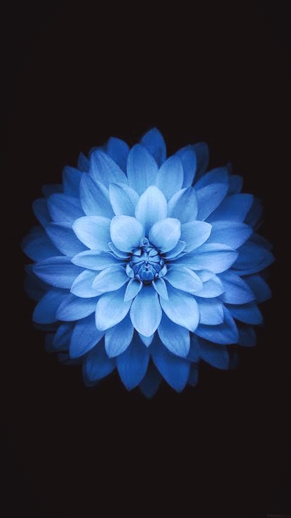 flo