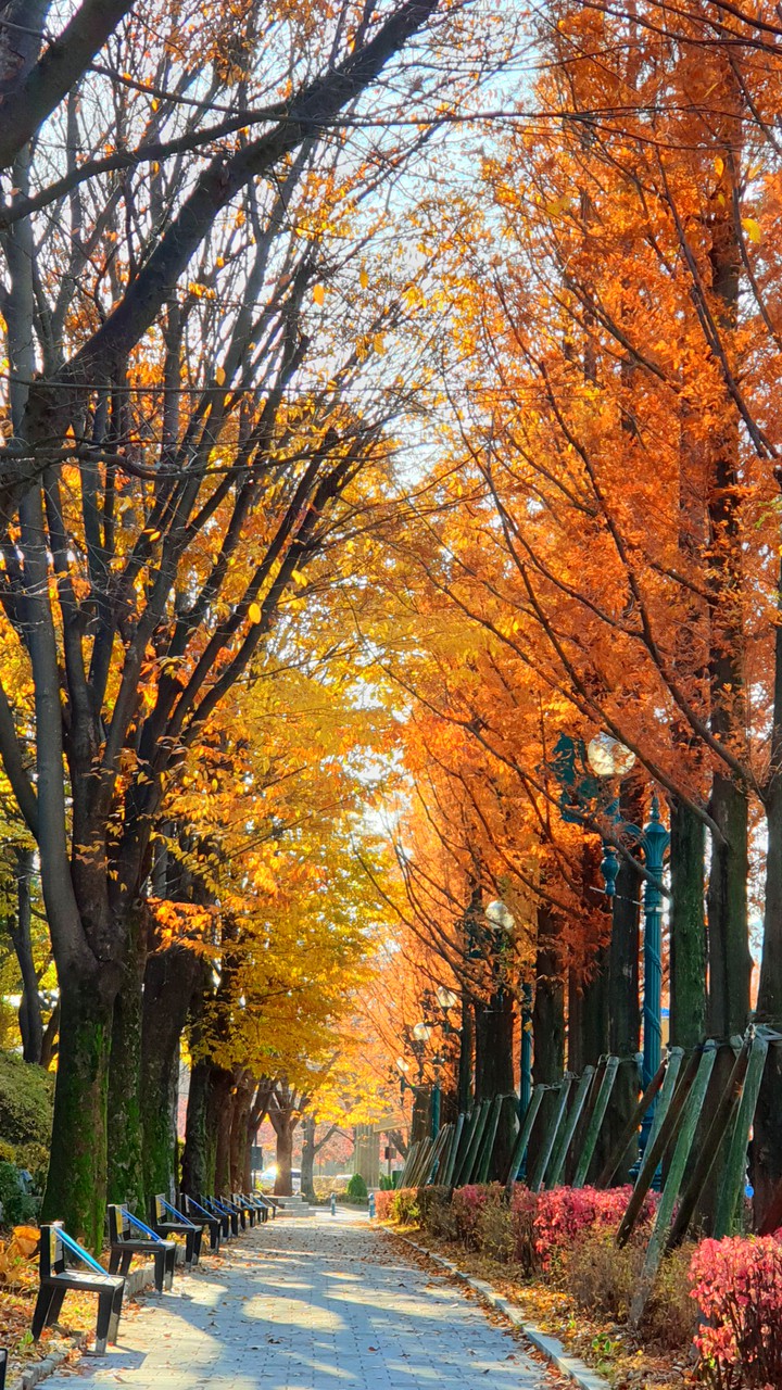 Fall