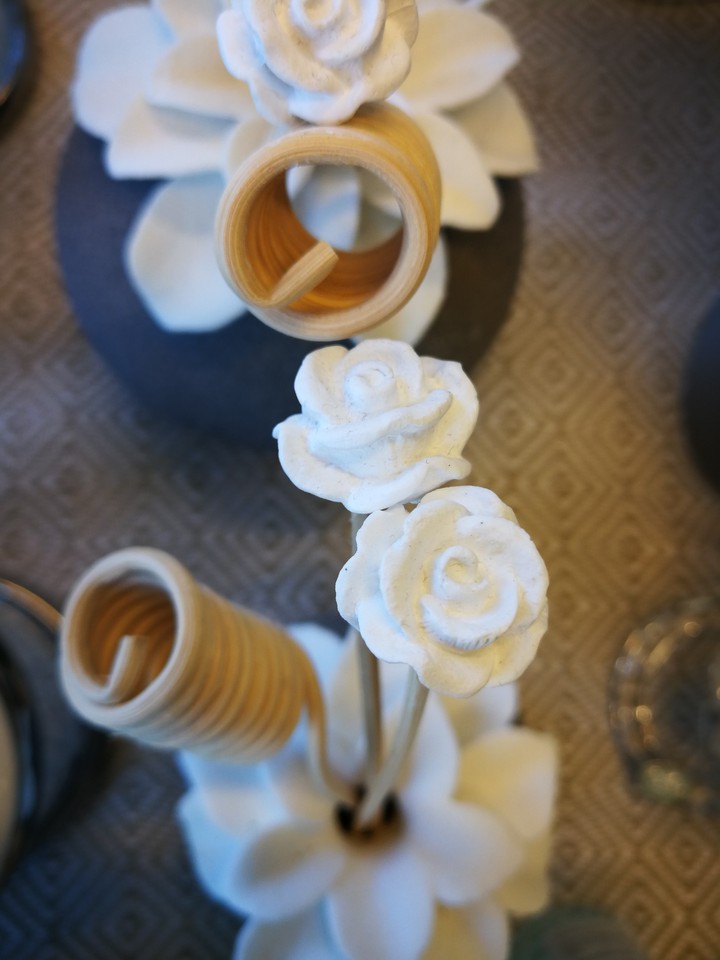 rose bianche