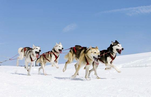 sfondi sky, Sled