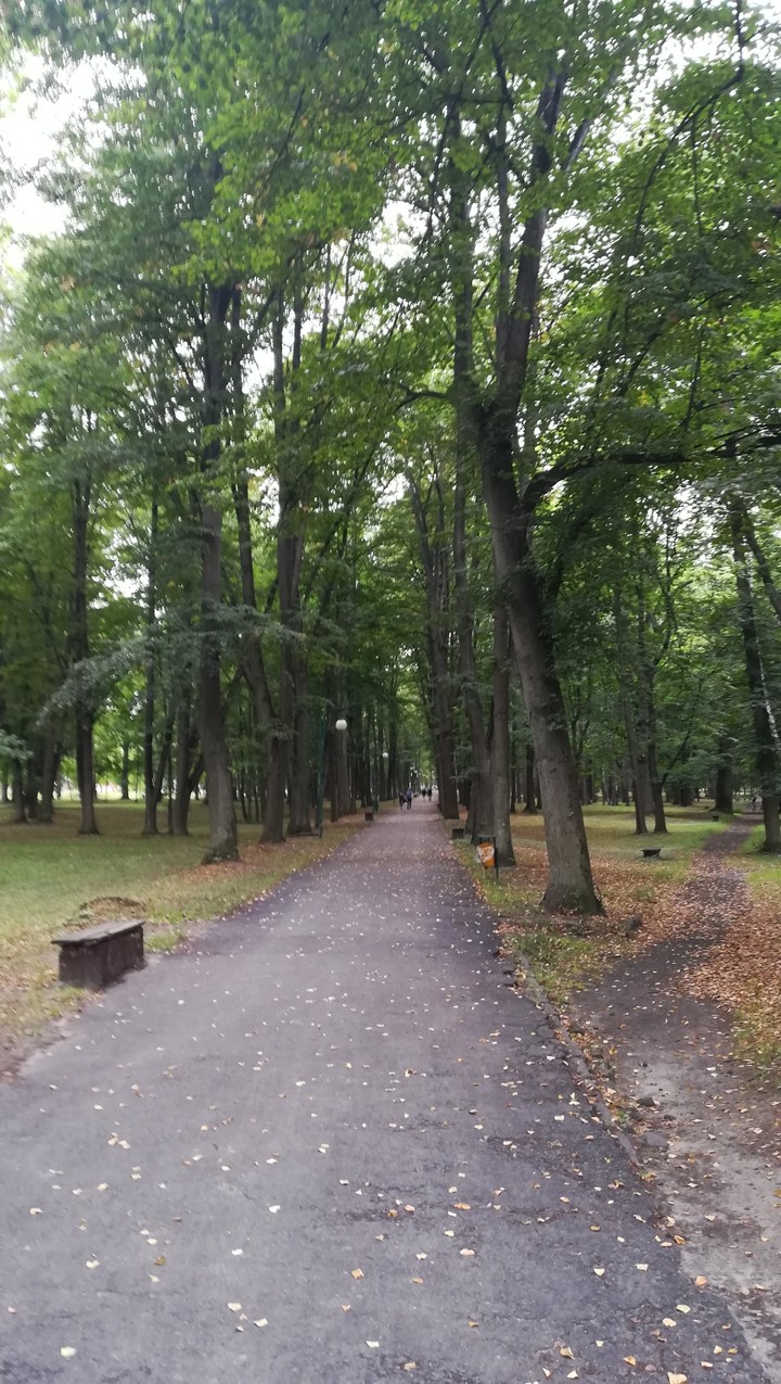 Końskie