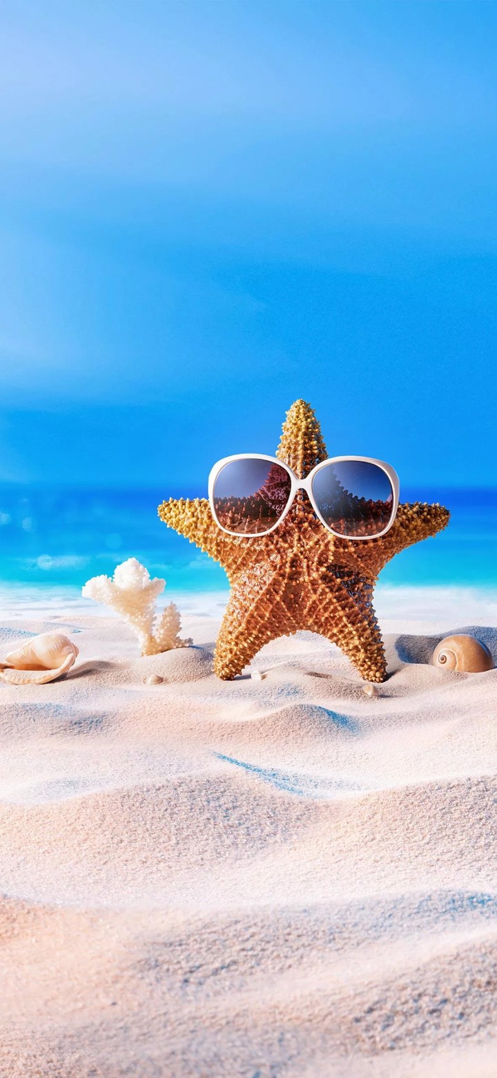 Starfish in sand