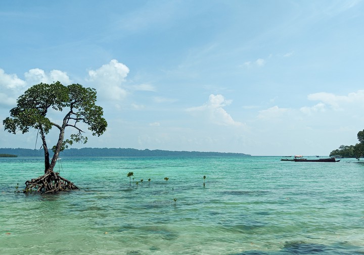 Turquoise waters