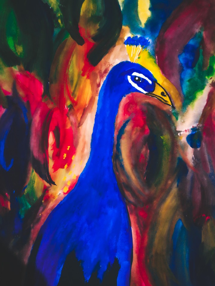 peacock