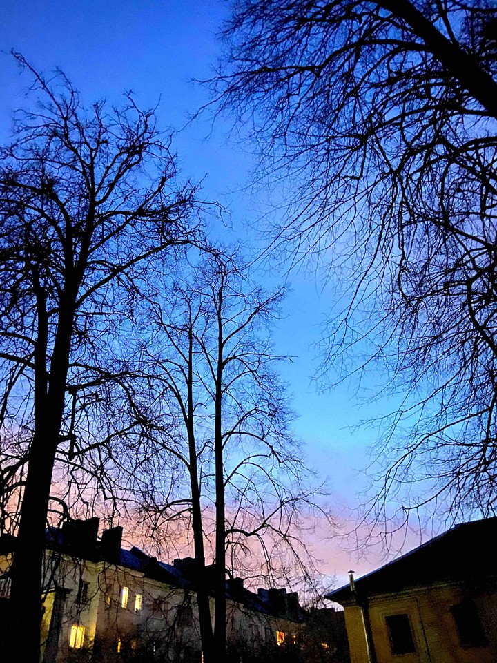 evening