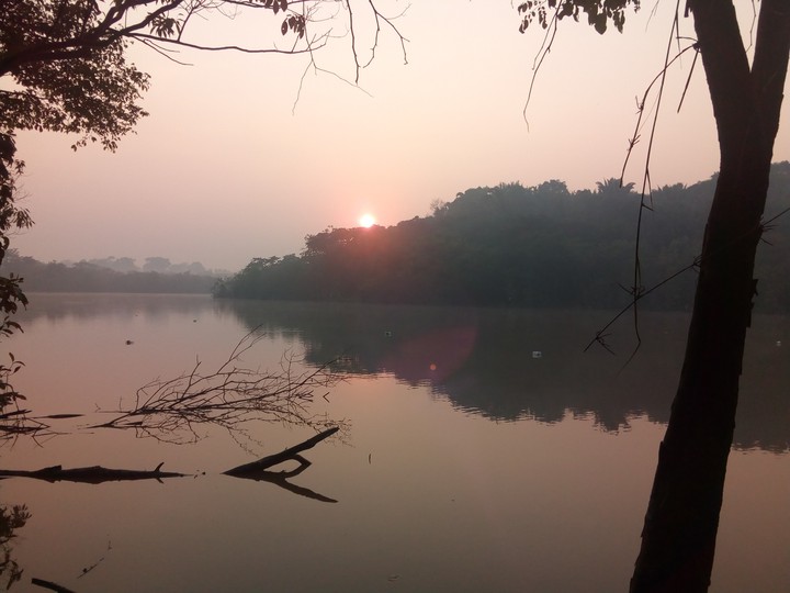 Amazônia