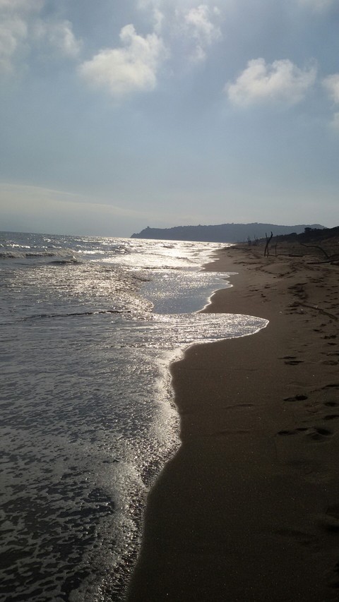 Sea Beach