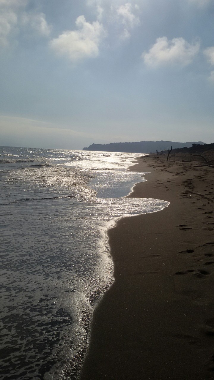 Sea Beach