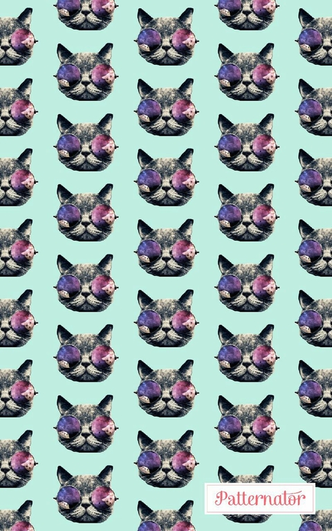 crazy cat